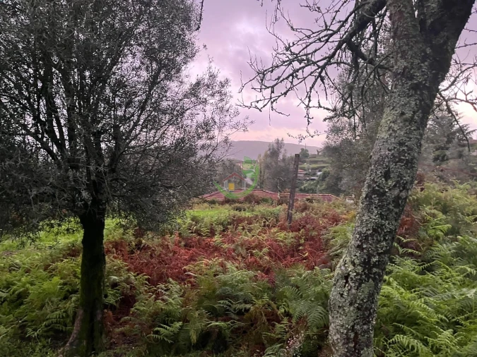 Moradia para Venda em Dossãos Foto 15