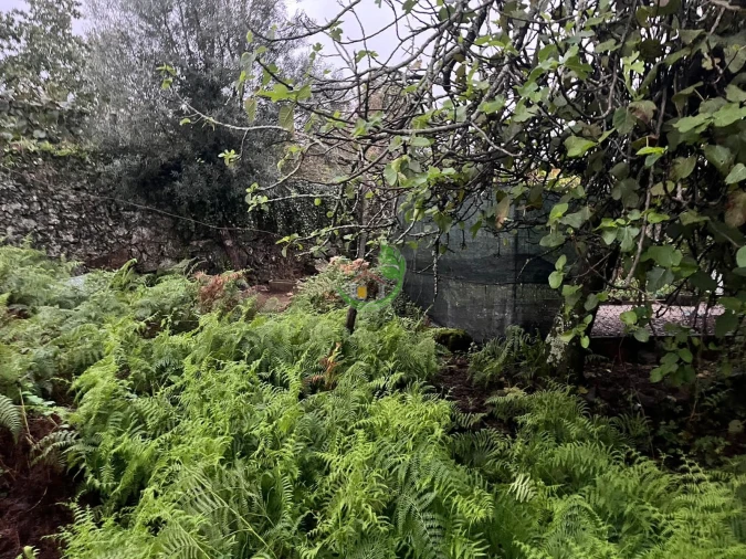 Moradia para Venda em Dossãos Foto 17