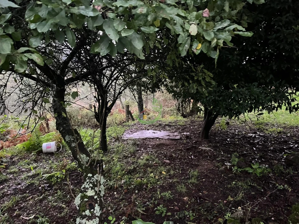 Moradia para Venda em Dossãos Foto 9