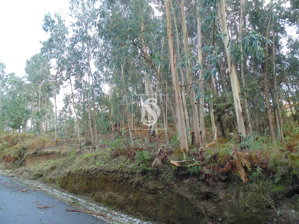 Terreno para Venda em Antime e Silvares (São Clemente) Foto 4