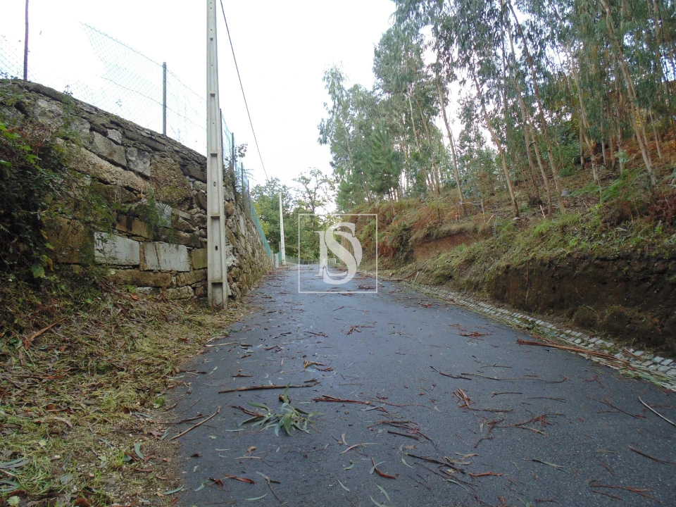 Terreno para Venda em Antime e Silvares (São Clemente) Foto 5