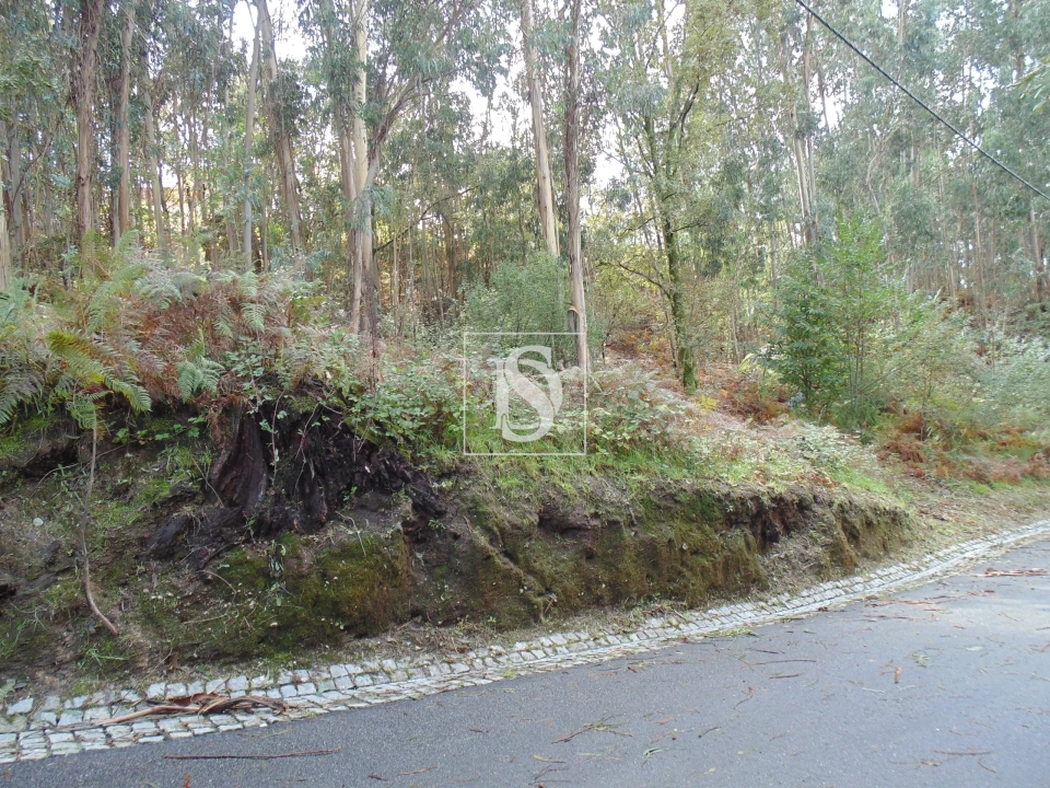 Terreno para Venda em Antime e Silvares (São Clemente) Foto 7