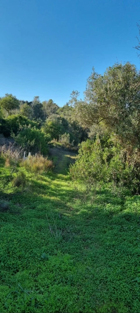 Terreno para Venda em Silves