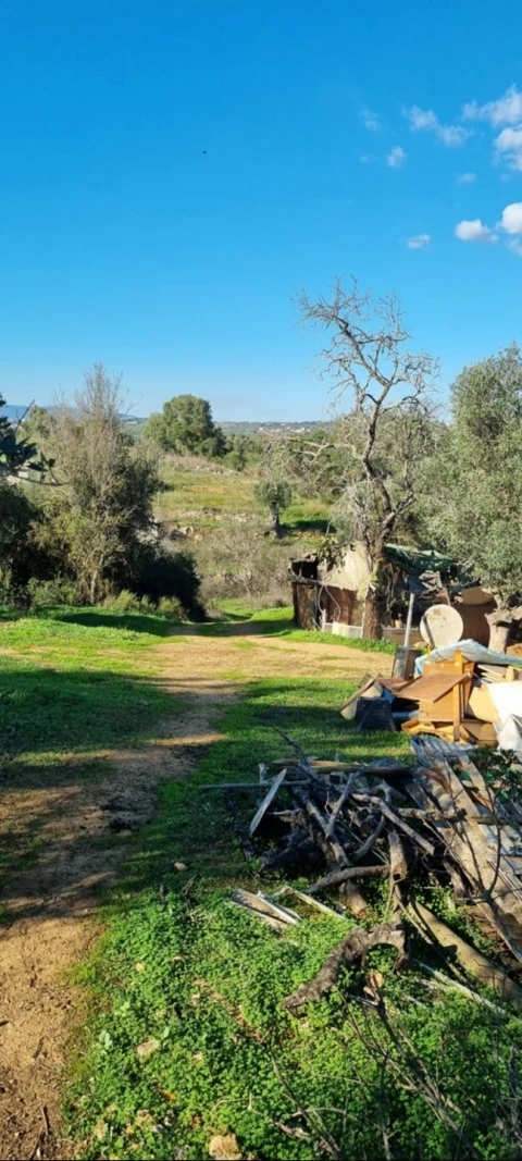 Terreno para Venda em Silves