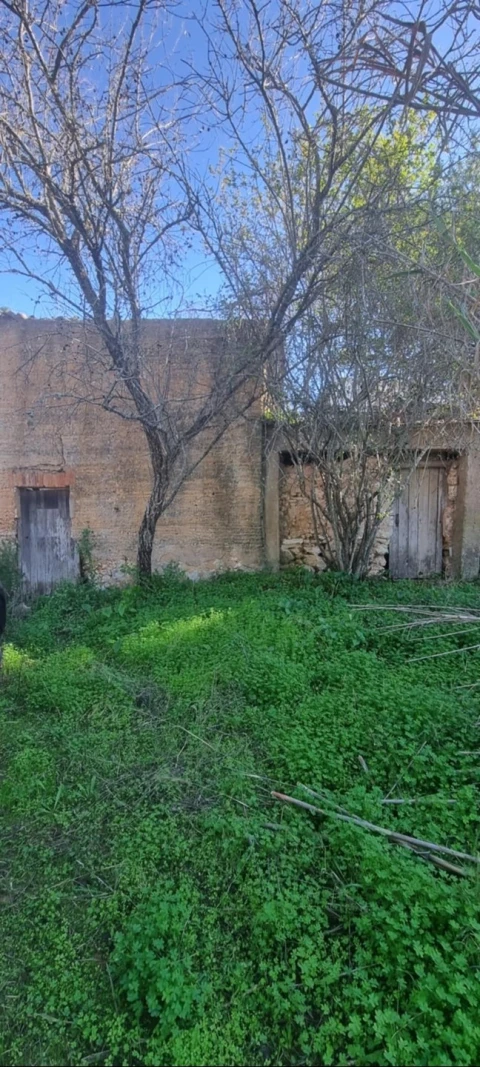 Terreno para Venda em Silves