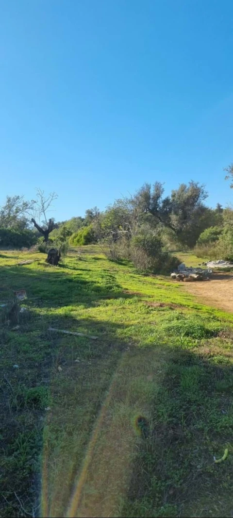 Terreno para Venda em Silves