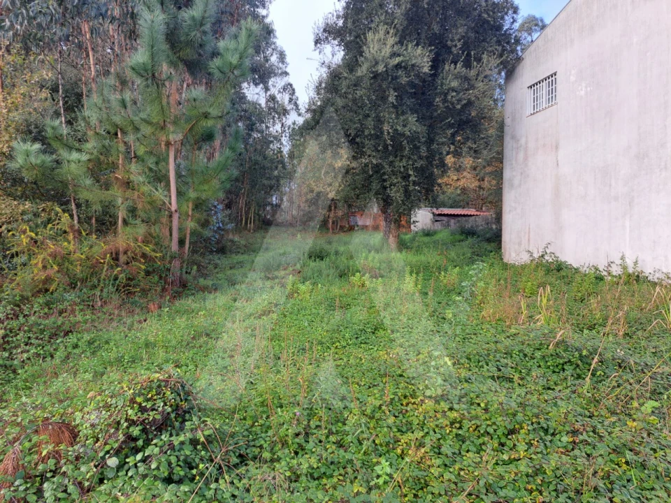 Terreno para Venda em Fermentelos Foto 2