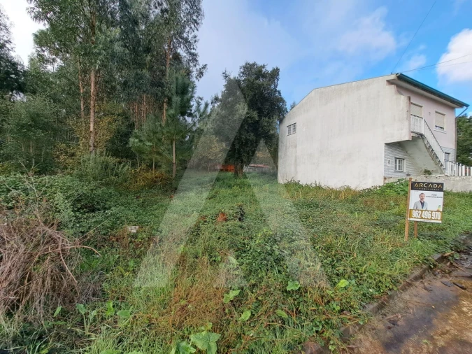 Terreno para Venda em Fermentelos Foto 5