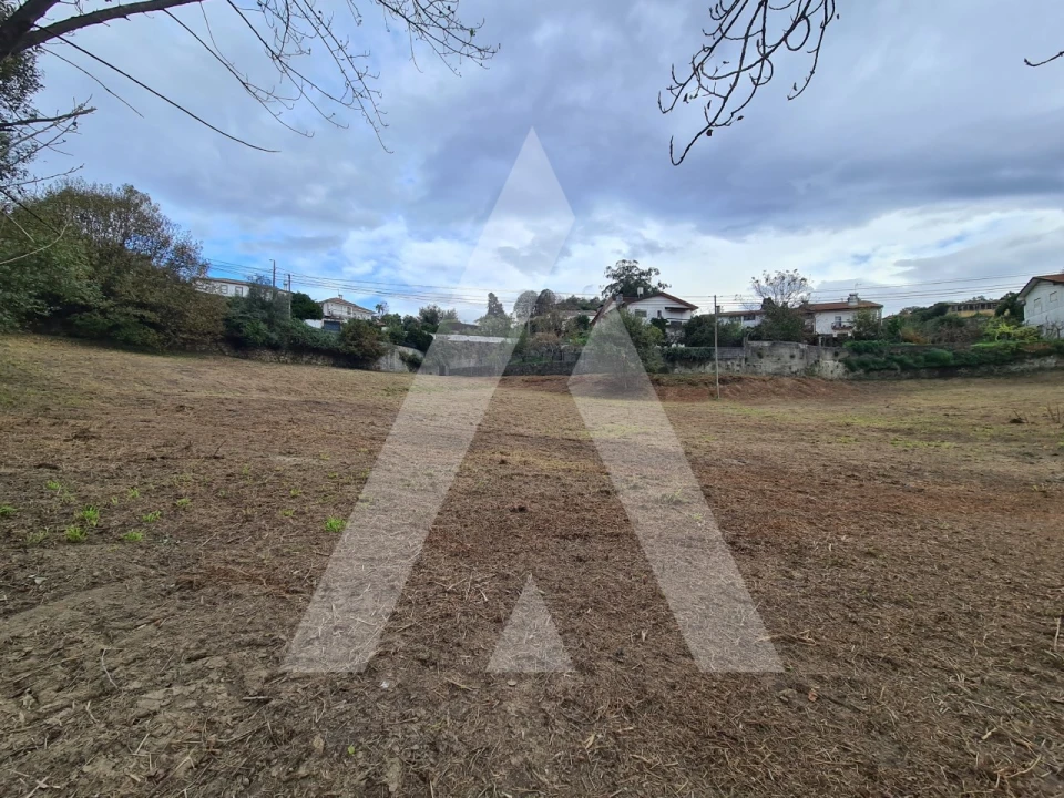 Terreno para Venda em Pinheiro da Bemposta, Travanca e Palmaz Foto 7