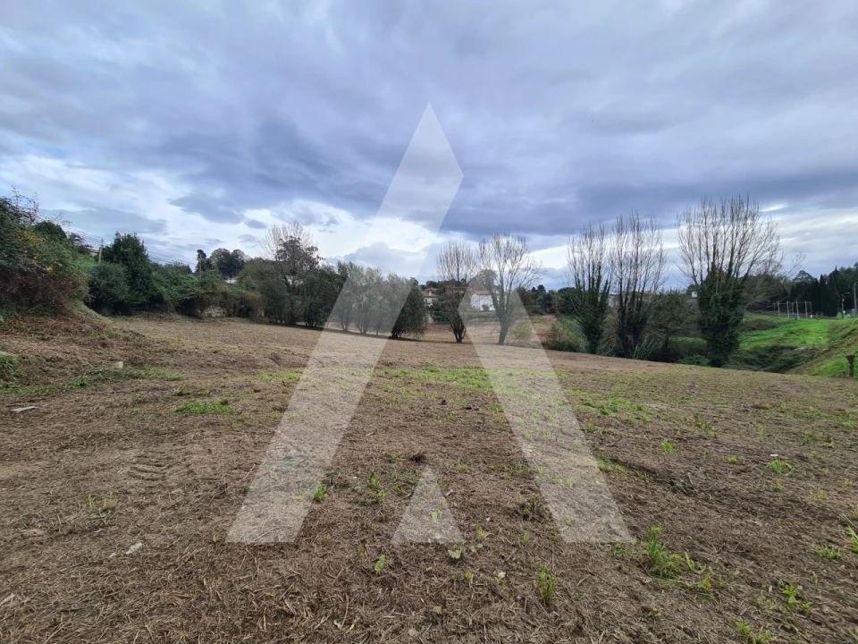 Terreno para Venda em Pinheiro da Bemposta, Travanca e Palmaz Foto 10