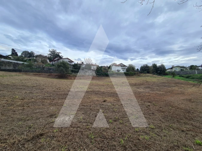 Terreno para Venda em Pinheiro da Bemposta, Travanca e Palmaz Foto 4