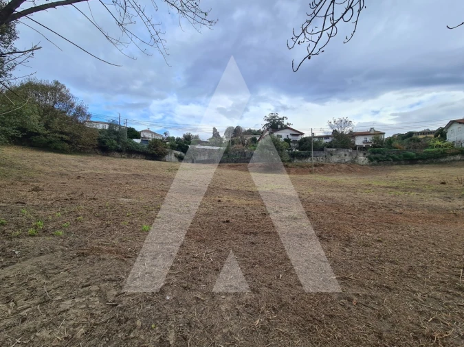 Terreno para Venda em Pinheiro da Bemposta, Travanca e Palmaz Foto 7