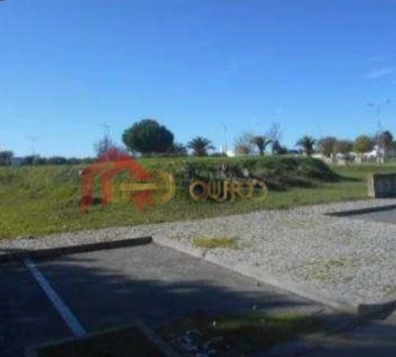 Terreno para Venda em São Bras e São Lourenço Foto 4