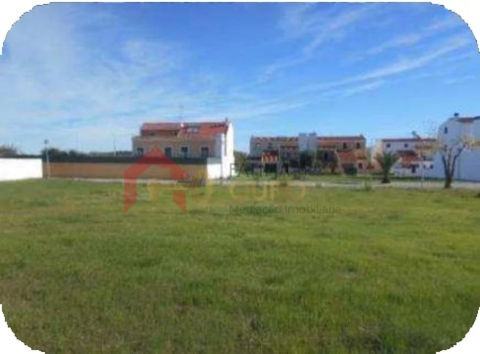 Terreno para Venda em São Bras e São Lourenço Foto 4