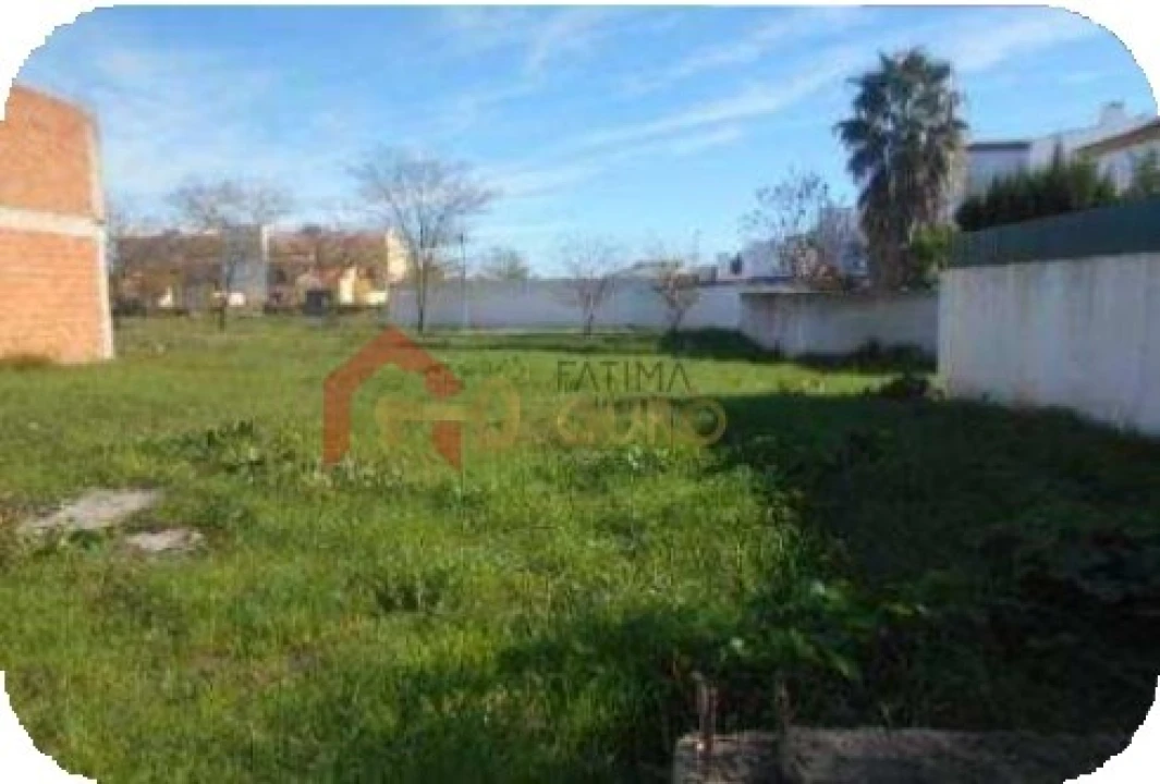 Terreno para Venda em São Bras e São Lourenço Foto 3