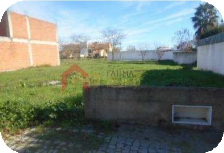 Terreno para Venda em São Bras e São Lourenço Foto 4