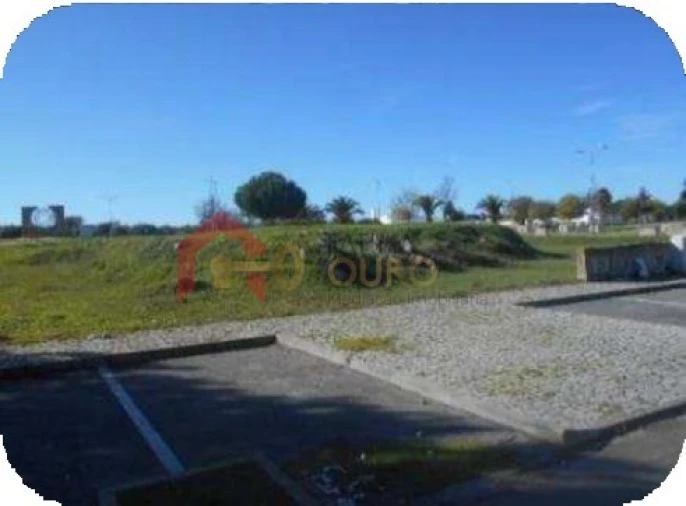 Terreno para Venda em São Bras e São Lourenço Foto 4