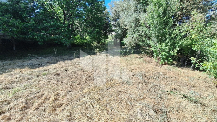 Terreno para Venda em Molelos Foto 6