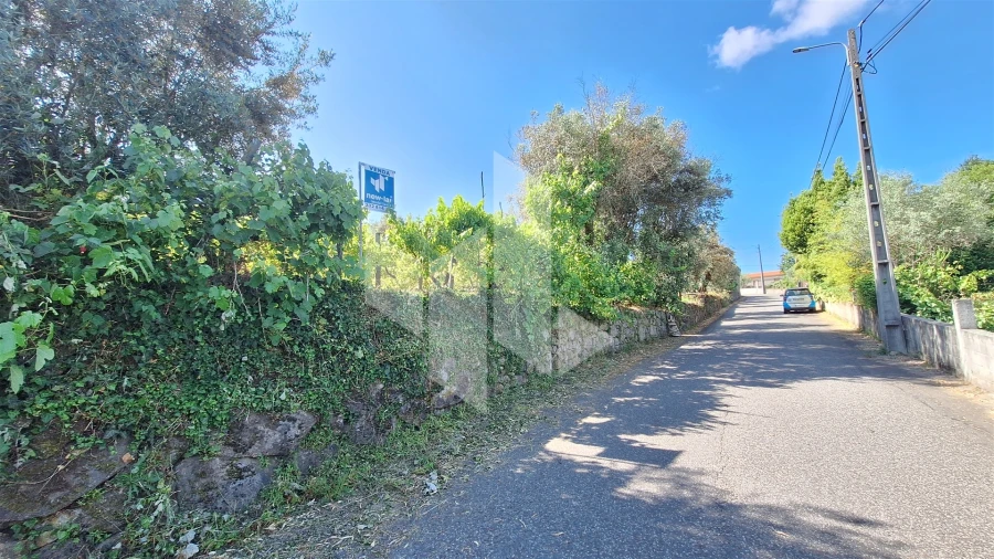 Terreno para Venda em Molelos Foto 2