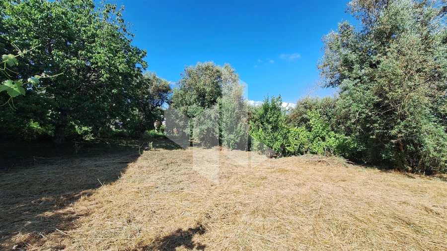 Terreno para Venda em Molelos Foto 3