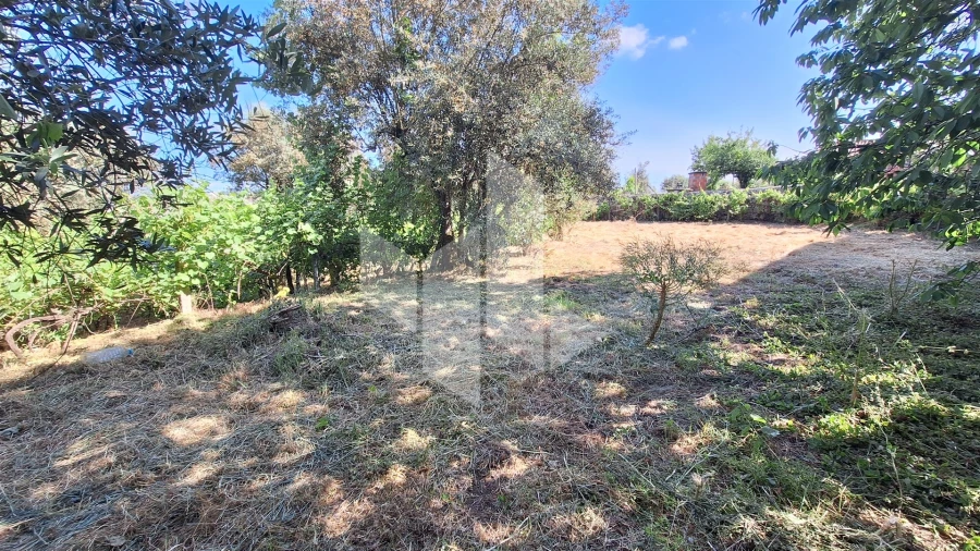 Terreno para Venda em Molelos Foto 7