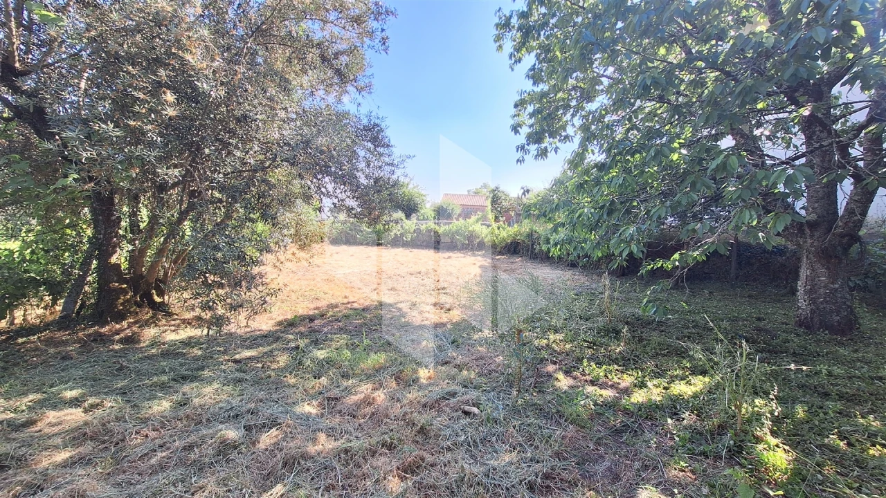 Terreno para Venda em Molelos Foto 4