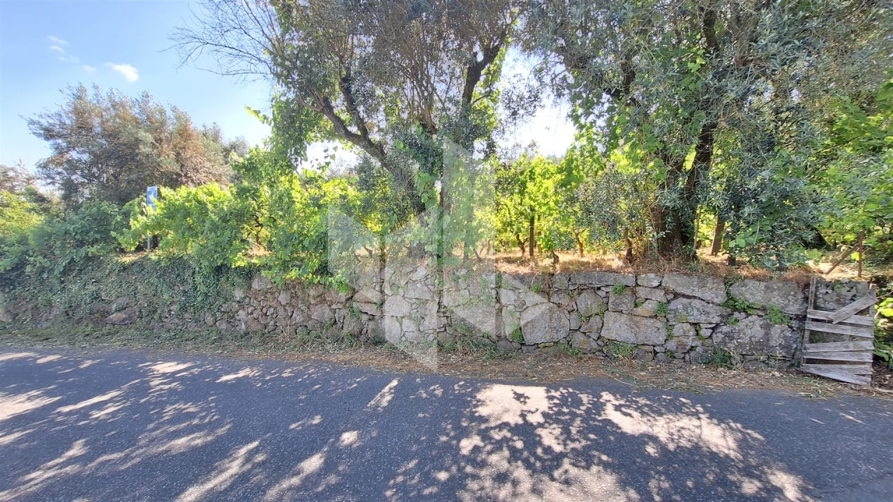 Terreno para Venda em Molelos Foto 1