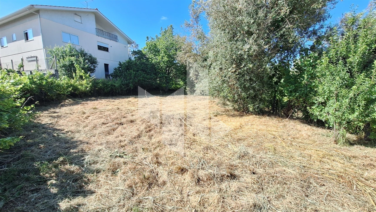 Terreno para Venda em Molelos Foto 8