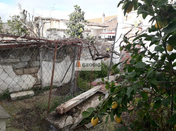 Terreno para Venda em Almodôvar e Graça dos Padrões Foto 6