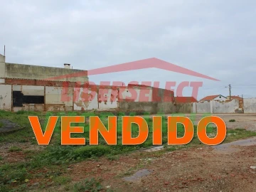 Terreno para Venda em Silveira