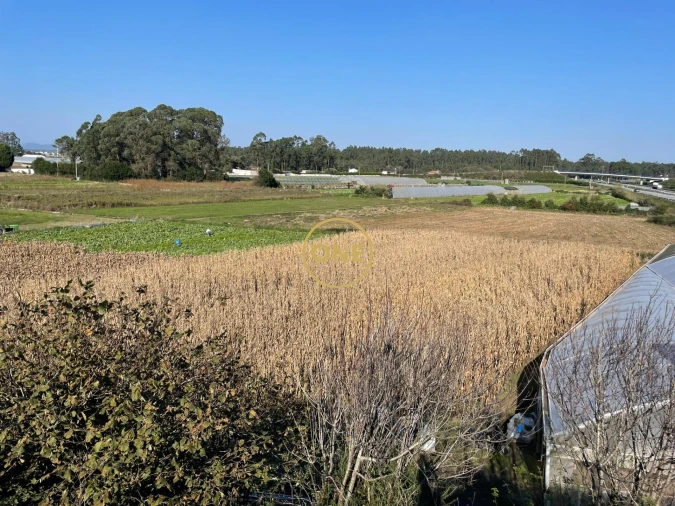 Terreno para Venda em Aguçadoura e Navais Foto 4