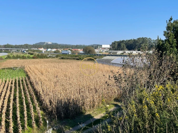 Terreno para Venda em Aguçadoura e Navais