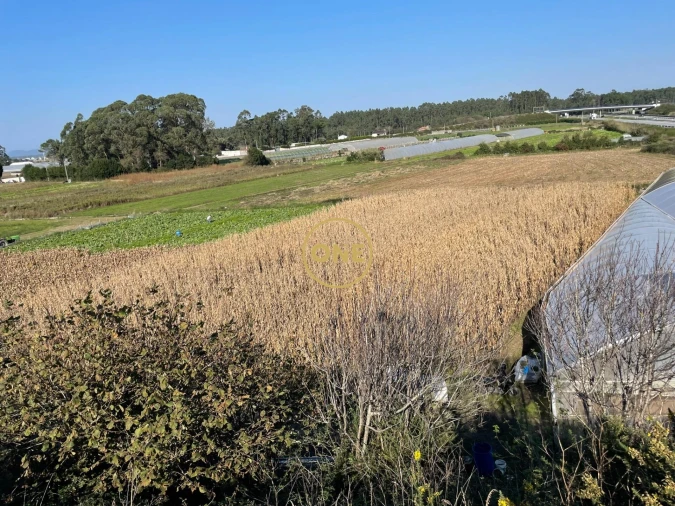 Terreno para Venda em Aguçadoura e Navais Foto 3
