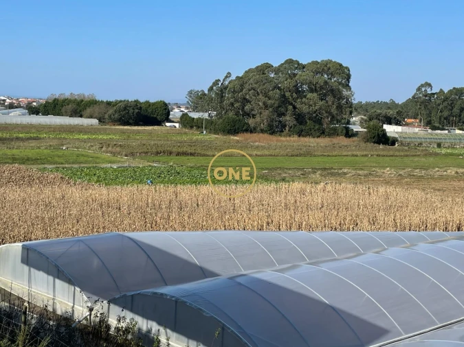 Terreno para Venda em Aguçadoura e Navais Foto 2