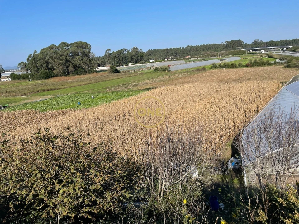 Terreno para Venda em Aguçadoura e Navais Foto 3