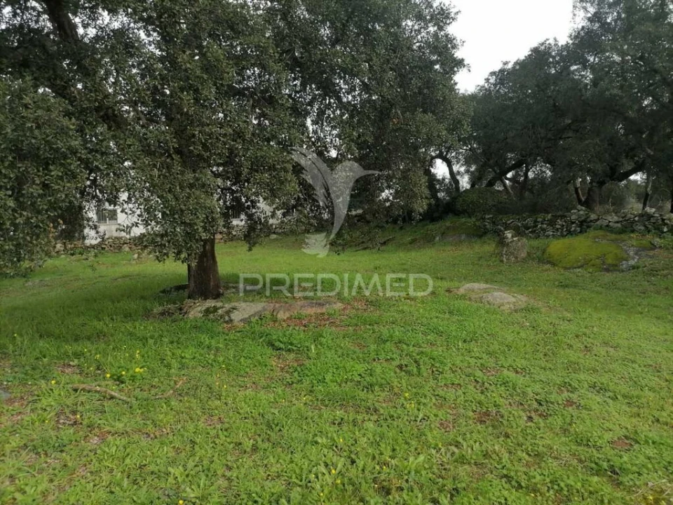 Terreno para Venda em Alagoa Foto 5