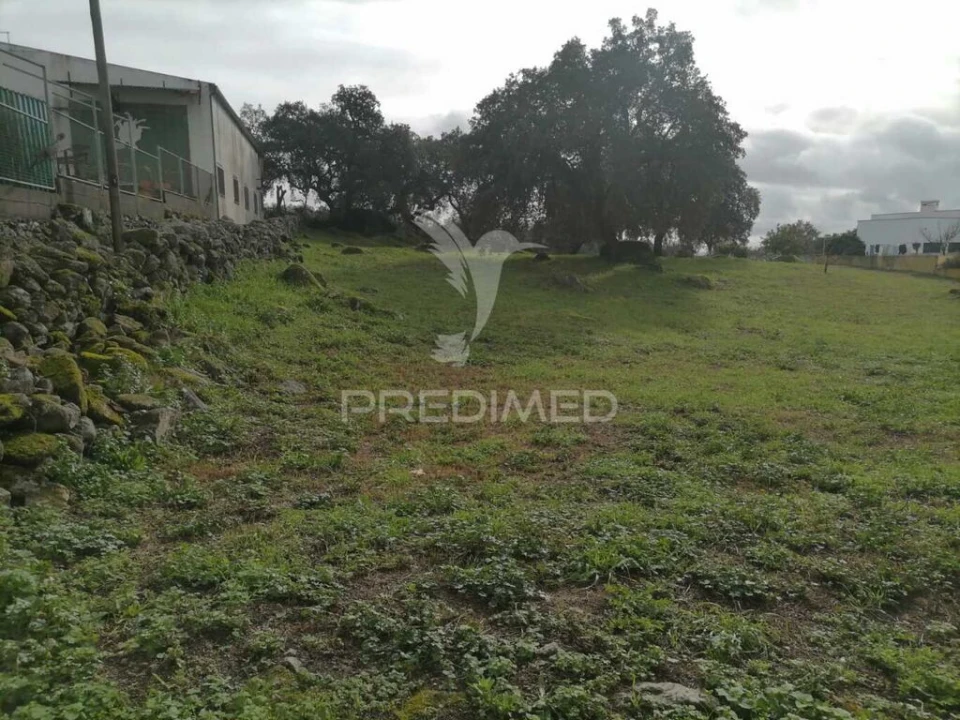 Terreno para Venda em Alagoa Foto 2