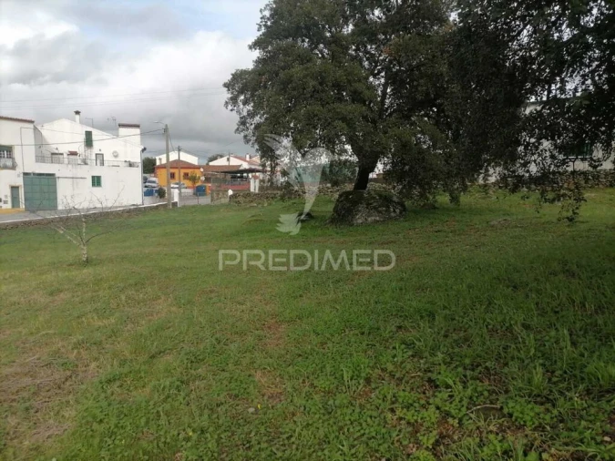 Terreno para Venda em Alagoa Foto 7