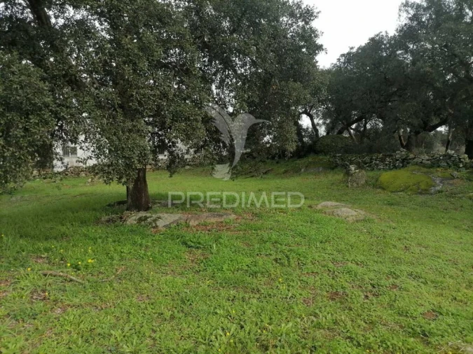 Terreno para Venda em Alagoa Foto 3