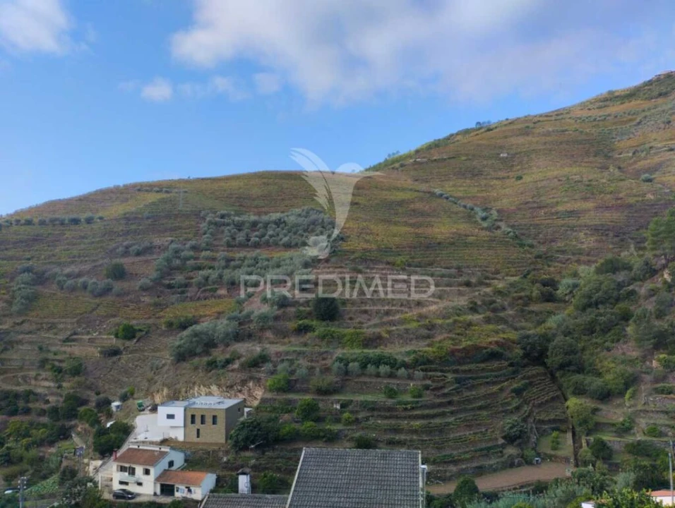 Terreno para Venda em Galafura e Covelinhas Foto 3