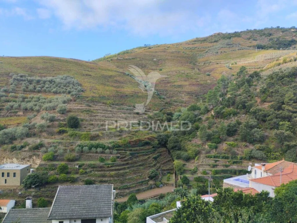 Terreno para Venda em Galafura e Covelinhas Foto 5