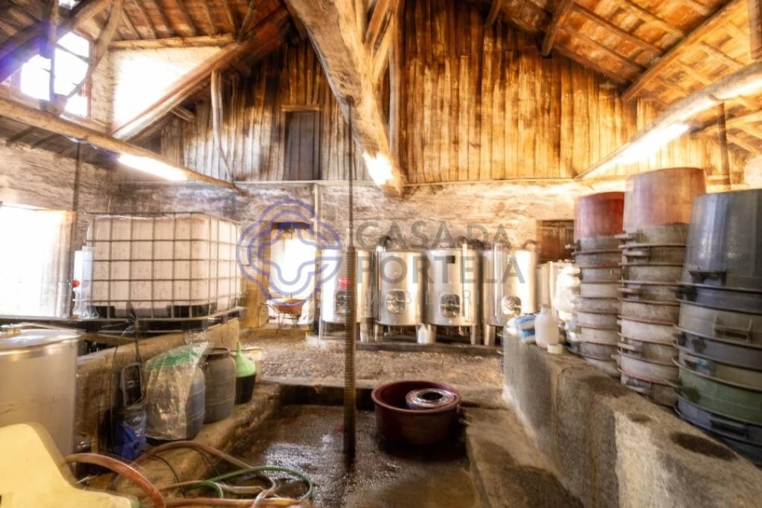 Quinta T5 para Venda em Cepões, Meijinhos e Melcões Foto 17