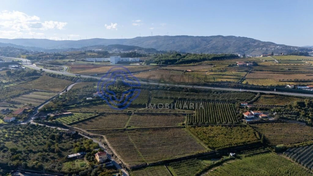 Quinta T5 para Venda em Cepões, Meijinhos e Melcões Foto 59