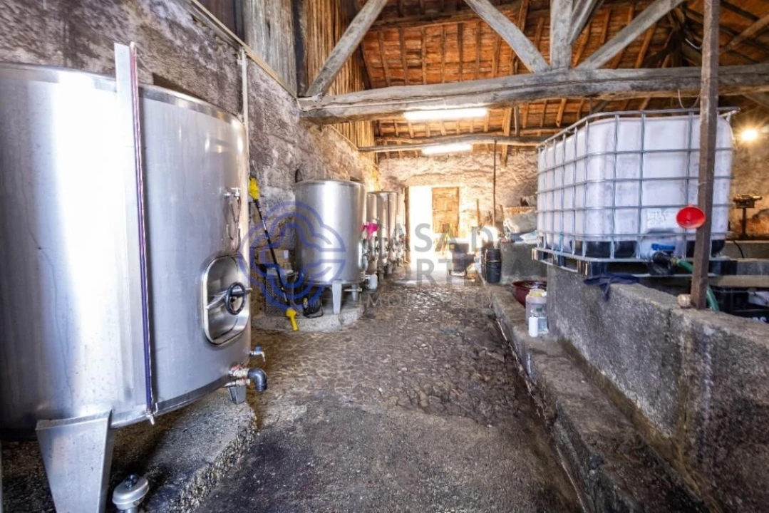 Quinta T5 para Venda em Cepões, Meijinhos e Melcões Foto 18