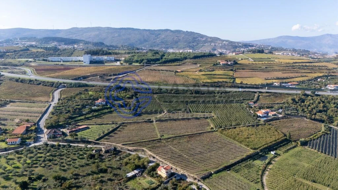 Quinta T5 para Venda em Cepões, Meijinhos e Melcões Foto 31