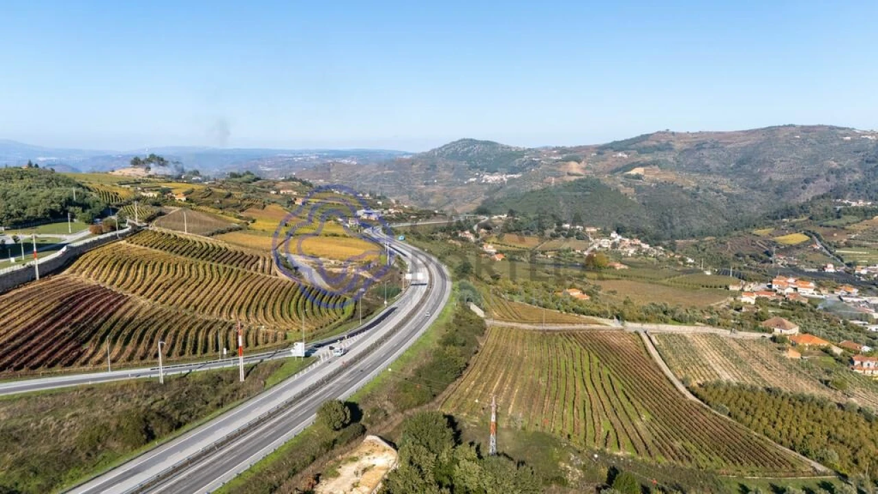 Quinta T5 para Venda em Cepões, Meijinhos e Melcões Foto 57