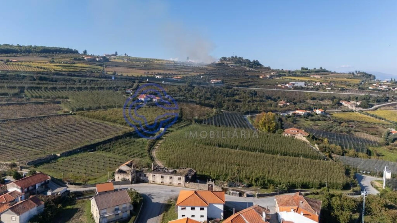 Quinta T5 para Venda em Cepões, Meijinhos e Melcões Foto 37