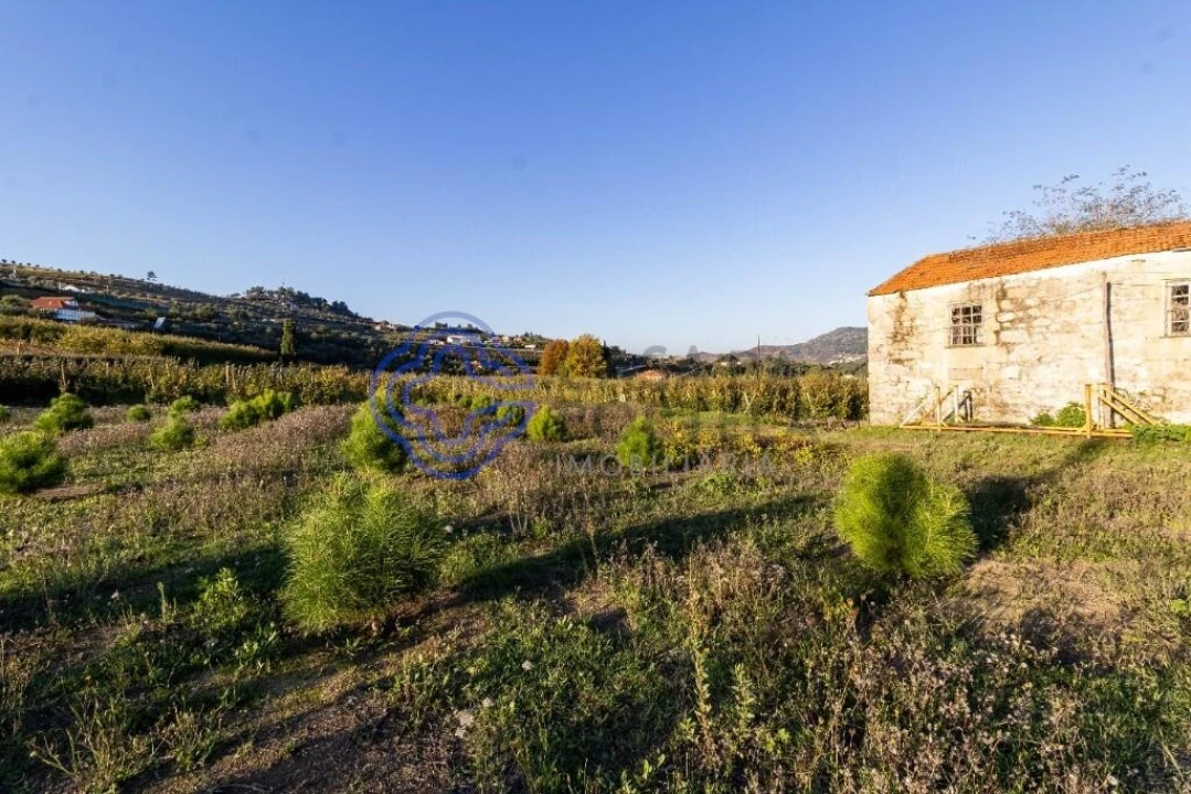 Quinta T5 para Venda em Cepões, Meijinhos e Melcões Foto 27