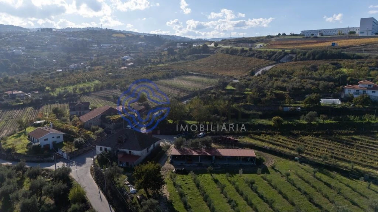 Quinta T5 para Venda em Cepões, Meijinhos e Melcões Foto 61