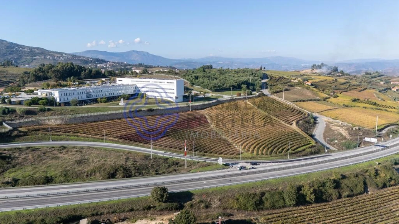 Quinta T5 para Venda em Cepões, Meijinhos e Melcões Foto 54